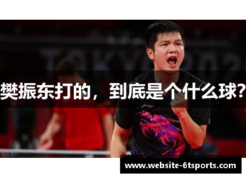 樊振东打的，到底是个什么球？